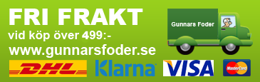 gf-banner-115px